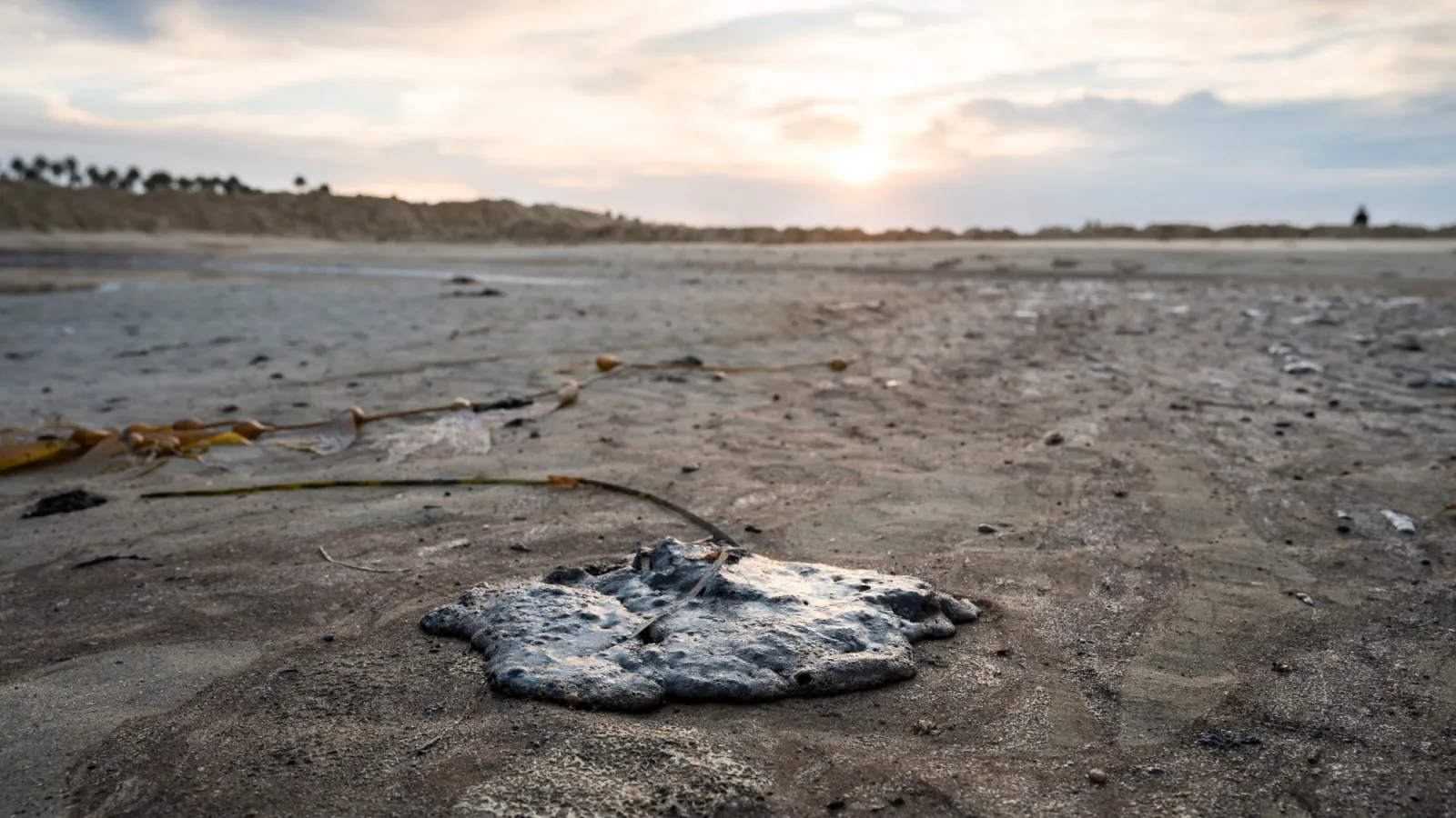 Mysterious Tar Balls Wash Ashore in Fort Lauderdale, Prompting Cleanup Efforts